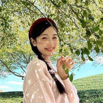 诺瓦利斯的蓝玫瑰